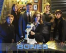 Bones