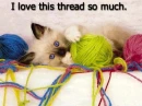 i love this thread so much!!
