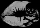 lips and skull
