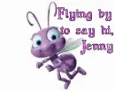 bug