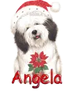 Angela