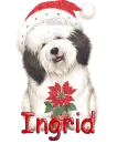 Ingrid