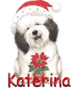 Katerina