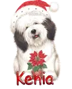 Kenia