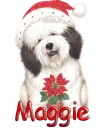 Maggie