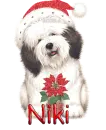 Niki