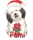 Pami