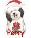 Perry