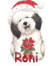 Roni
