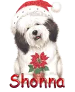 Shonna