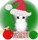 Tracey
