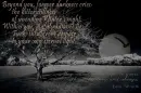 Dark Christmas Greetings