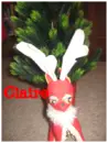 Reindeer with name