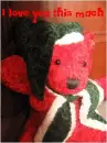 Cute christmas teddy bear