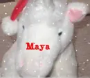 Christmas horse named