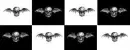 Deathbats