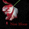New Moon