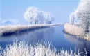 winter at tundra