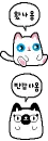 cute cats
