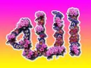 Allah's name written from flower