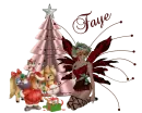 Xmas Fairy with Santabear - Faye