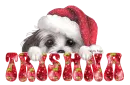 Xmas Dog Divider - Trishna