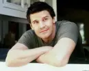 david