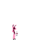 Pink Bunny