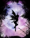 Fairy