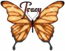 tracy butterfly