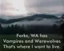 Forks