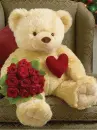teddy 