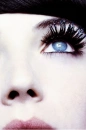 lashes