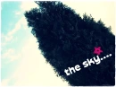 the sky 