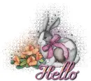 BUNNY