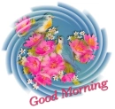 good morning