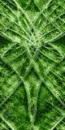 green background