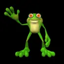 frog 