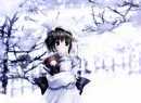 Winter Walk