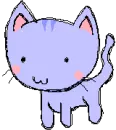 Kitten