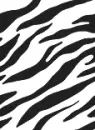 Zebra Print