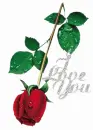 I love you