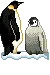 hAPPY FEET