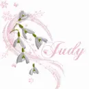 Judy