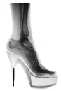 X-Ray