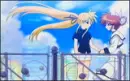 fate x nanoha