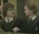 Harry and Hermione