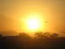 The Sunset