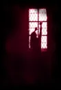 no dark want light