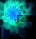 the dark side of a flower